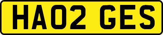 HA02GES