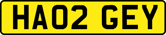 HA02GEY