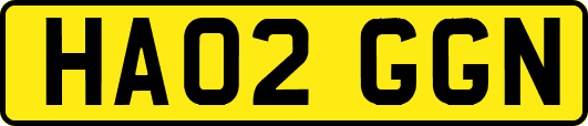 HA02GGN