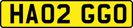 HA02GGO
