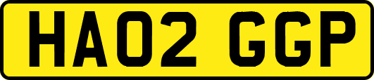 HA02GGP