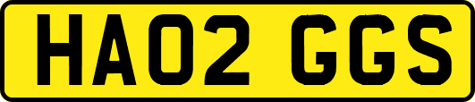 HA02GGS