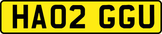 HA02GGU