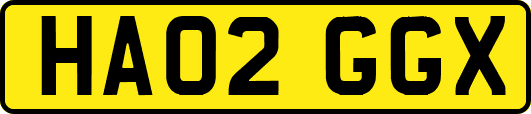 HA02GGX