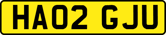HA02GJU