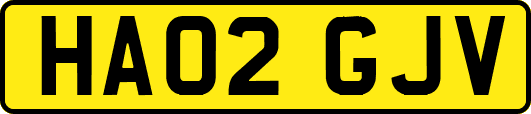 HA02GJV