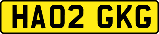 HA02GKG