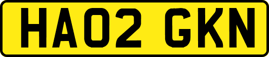 HA02GKN