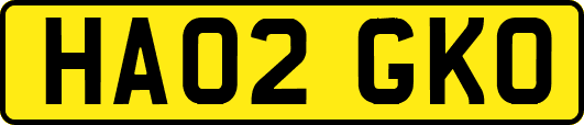 HA02GKO
