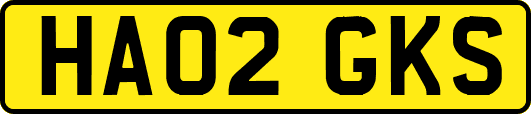 HA02GKS