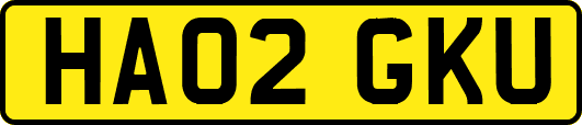 HA02GKU