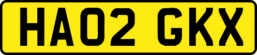 HA02GKX