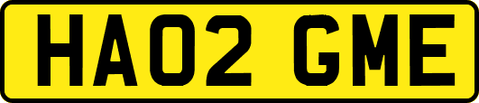 HA02GME