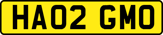 HA02GMO