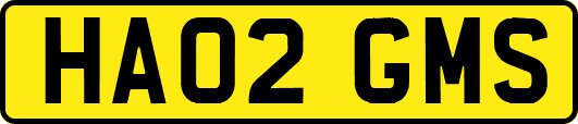 HA02GMS