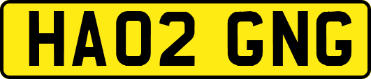 HA02GNG
