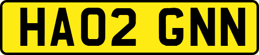 HA02GNN