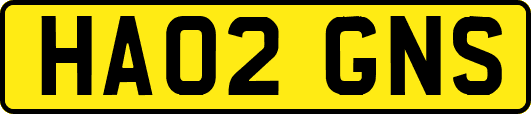 HA02GNS