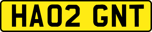 HA02GNT