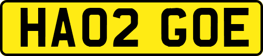 HA02GOE