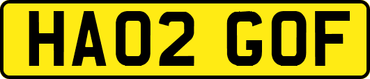 HA02GOF