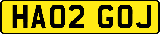 HA02GOJ