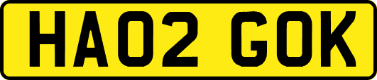 HA02GOK