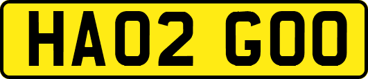 HA02GOO