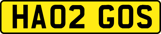 HA02GOS