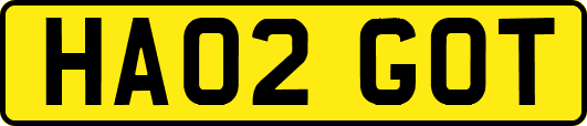 HA02GOT