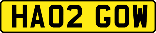 HA02GOW