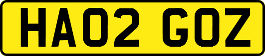 HA02GOZ