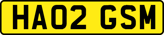 HA02GSM