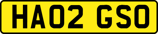 HA02GSO