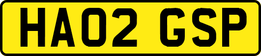HA02GSP
