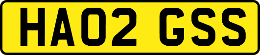 HA02GSS