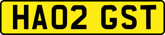 HA02GST