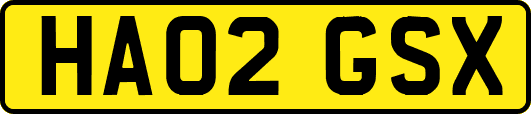 HA02GSX