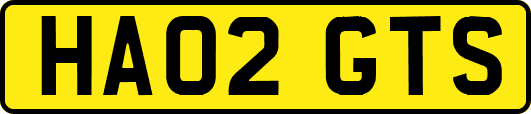 HA02GTS