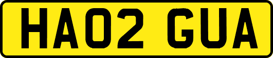 HA02GUA