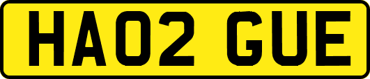 HA02GUE