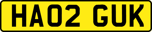 HA02GUK