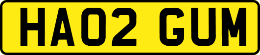 HA02GUM