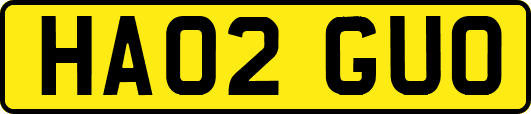 HA02GUO