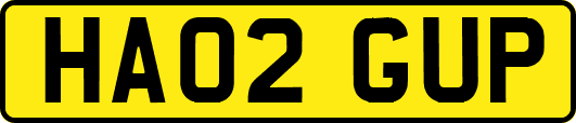 HA02GUP