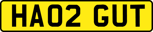 HA02GUT
