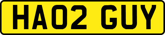 HA02GUY