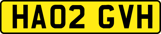 HA02GVH