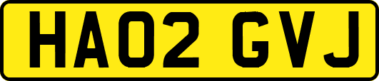 HA02GVJ