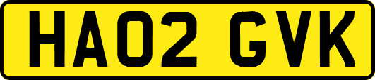 HA02GVK